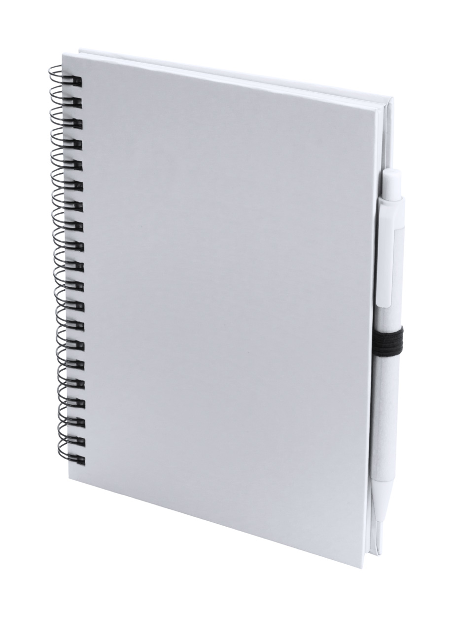 Koguel notebook